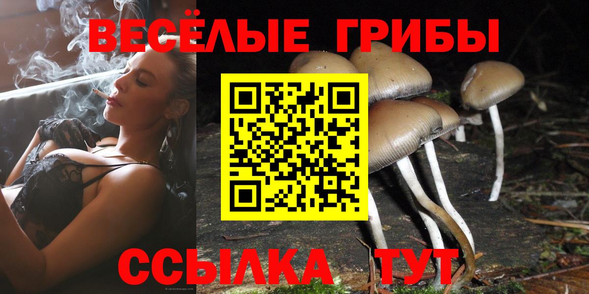 Псилоцибиновые грибы Psilocybe Оренбург