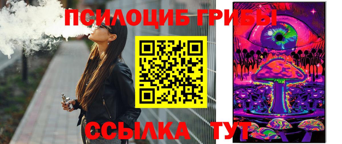 Оренбург  Псилоцибиновые грибы Psilocybe  Вход с VPN 